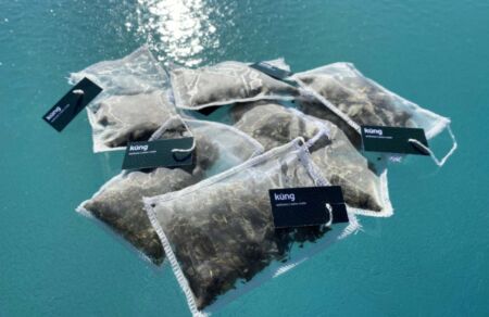 kueng-sauna-wellness-ratgeber-kr%C3%A4uter-1