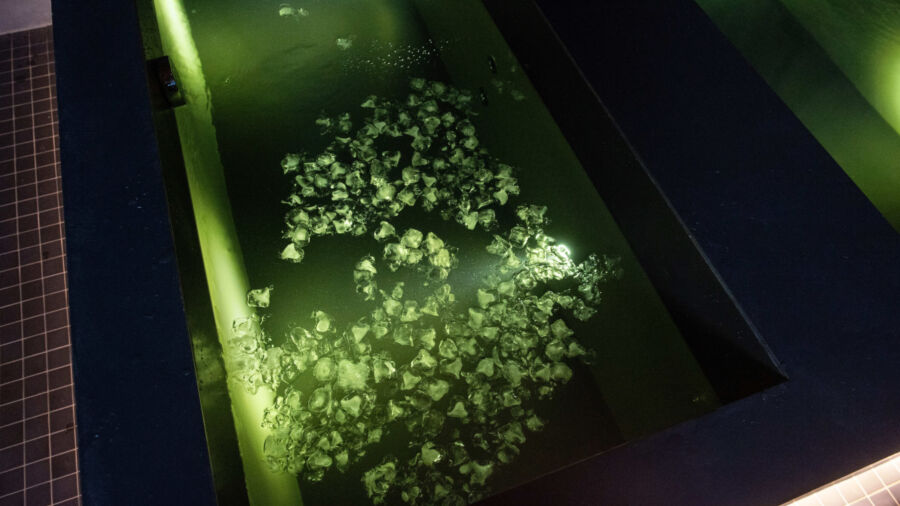 Kueng keen coldplunge