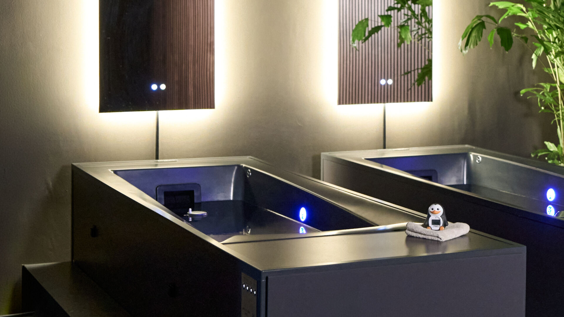 Kueng wellness revive