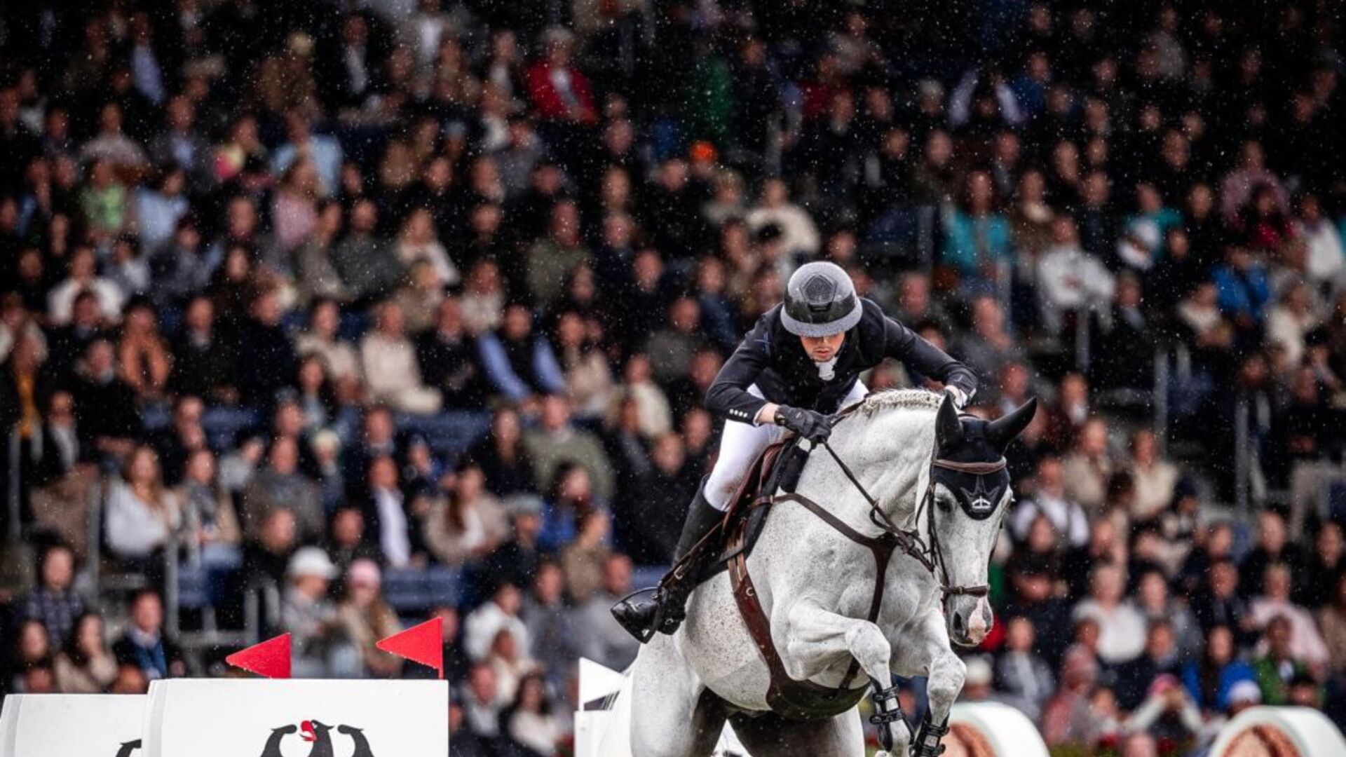 Kueng wellness martin fuchs 4