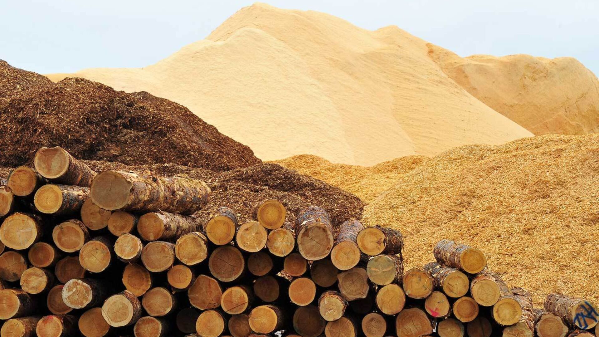 Kueng sauna wellness ratgeber finnische wälder finnland 2