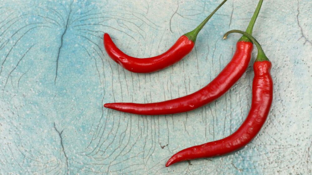 Kueng welnness ernährung